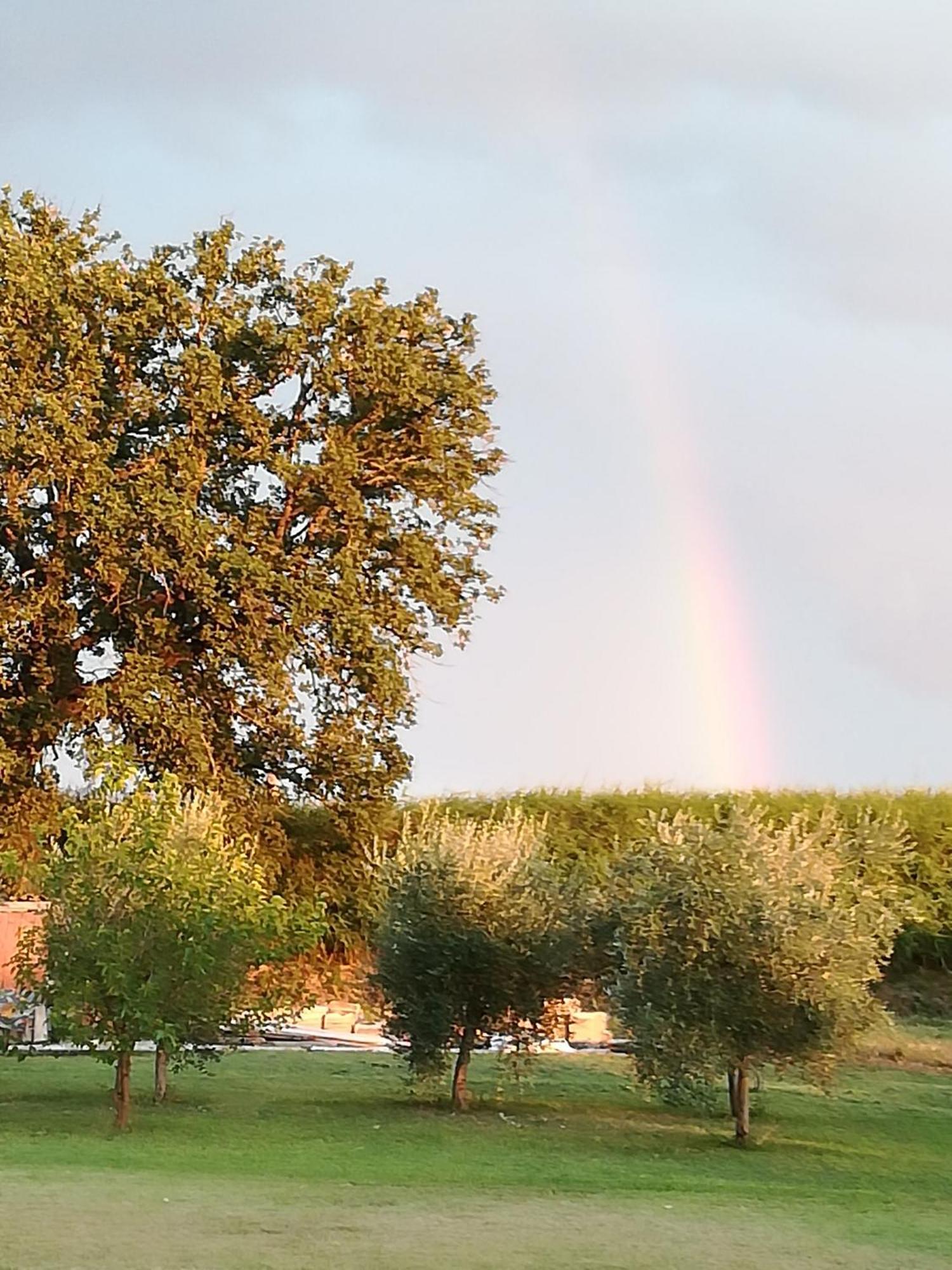 Antico Gioiello Umbro , Appartamento Con Terrazza Foligno Exterior foto